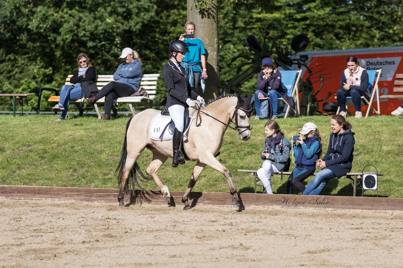 Bild 551 - Pony Akademie Turnier